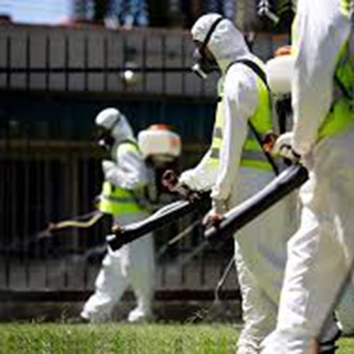 Equipe DDDez soluções no controle de pragas